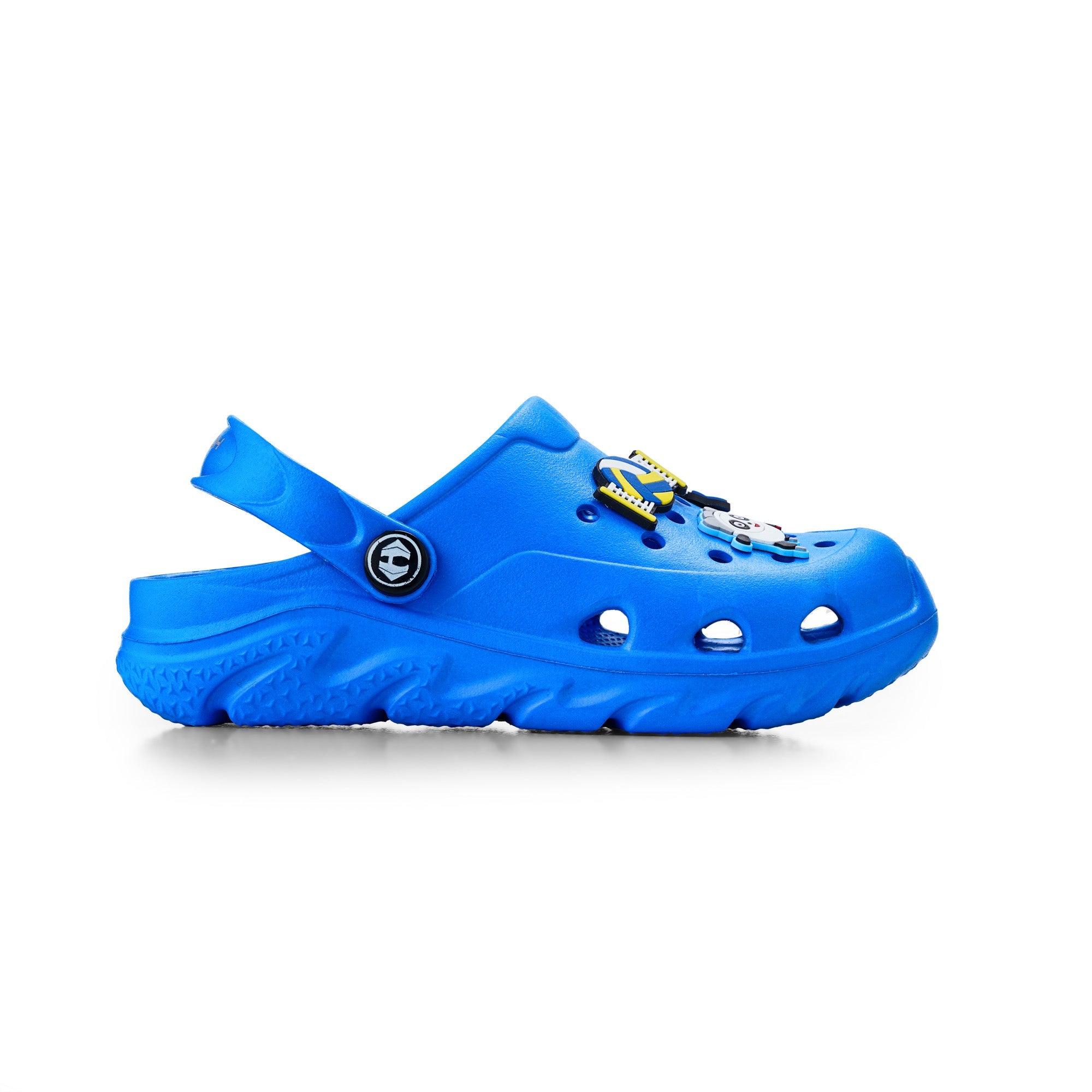 #color_royal-blue